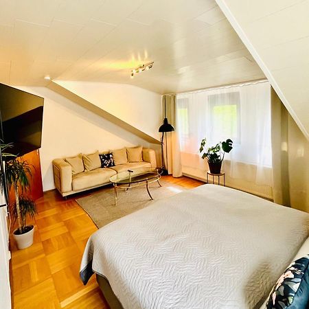 Casa Inn Parkview - Relax & Chill - Perfect For Business Travel, Weekend Trip, Family&Friends, Dogs Lover, Romance, Layover Or Longstay Limburg an der Lahn Exterior foto